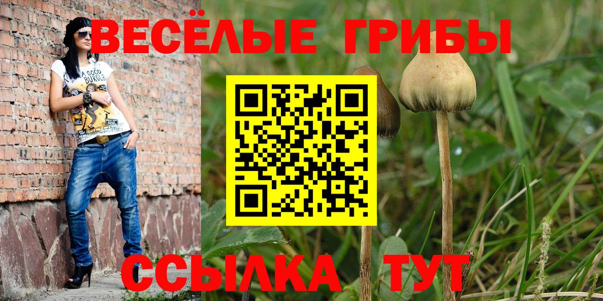 Галлюциногенные грибы мухоморы Чистополь